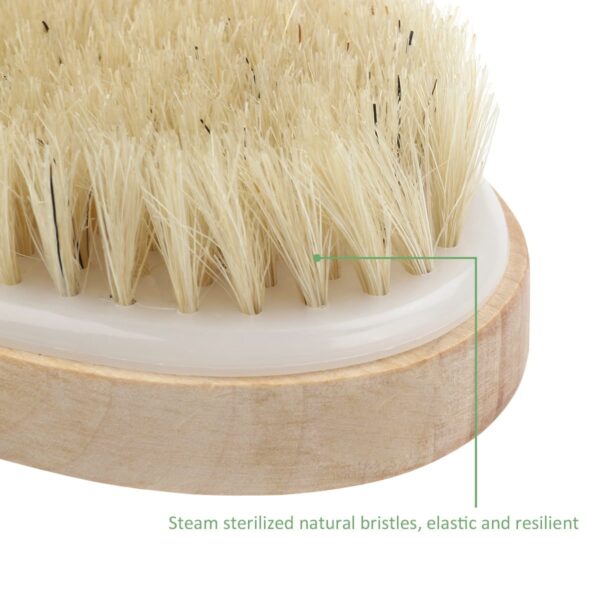 Soft Natural Bristle Shower Brush - Image 3