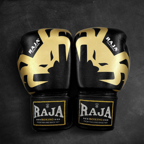 Raja factory boxing gloves - 8oz, Magic beads