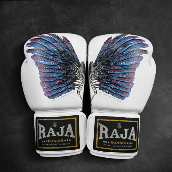 Raja factory boxing gloves - 10oz, Ice Soul Wings