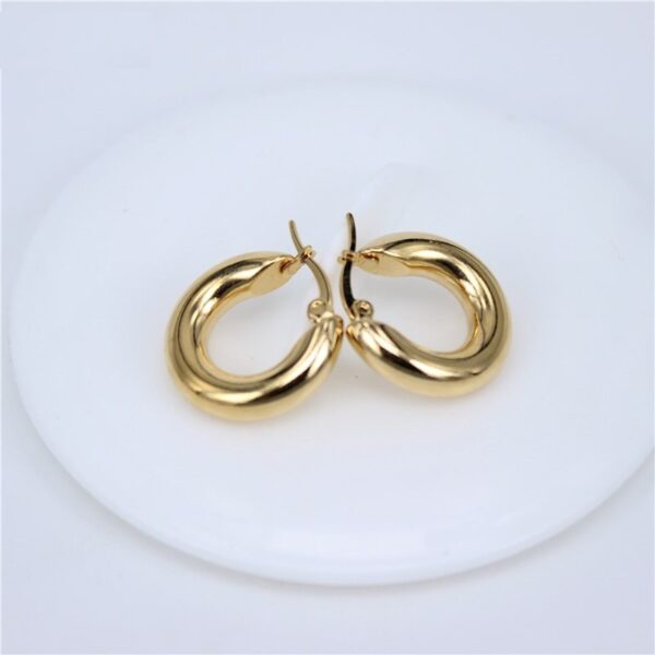 Classic Design Smooth Stainless Steel Earrings - Image 5