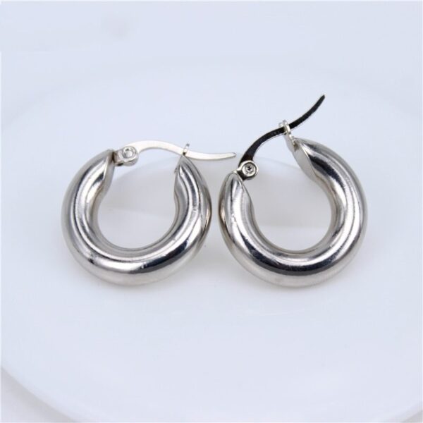 Classic Design Smooth Stainless Steel Earrings - Image 3