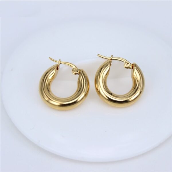 Classic Design Smooth Stainless Steel Earrings - Image 2