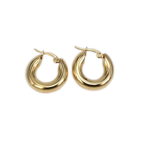 Classic Design Smooth Stainless Steel Earrings