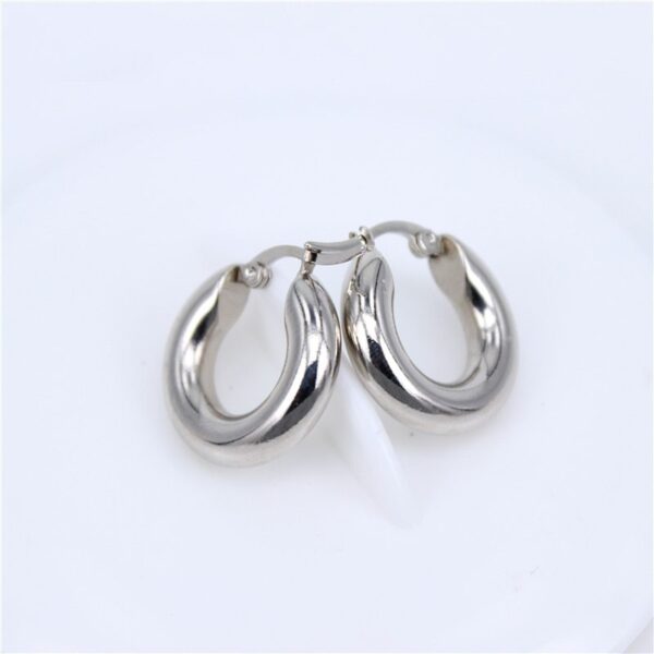 Classic Design Smooth Stainless Steel Earrings - Image 4