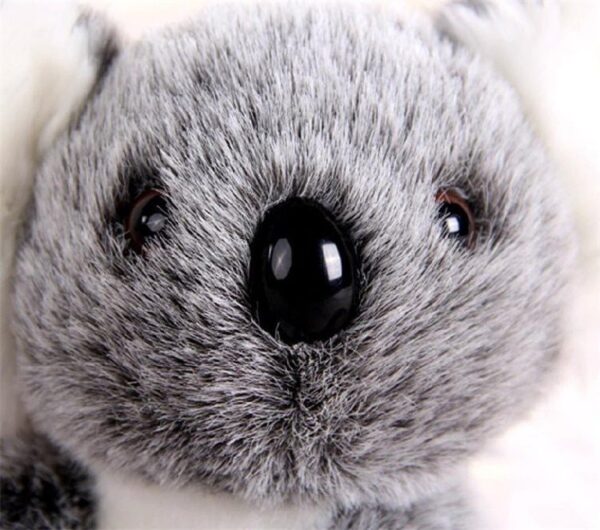 Koala Plush Toy - Image 2