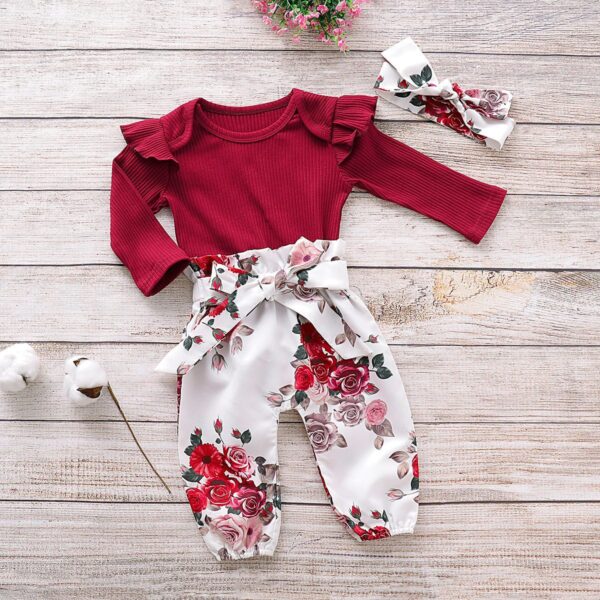 Baby Girl's Roses Printed Clothing Set - Image 6