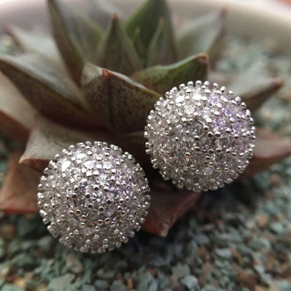 Women's Refined Stylish And Versatile Fine Zircon-embedded Earrings - Image 4
